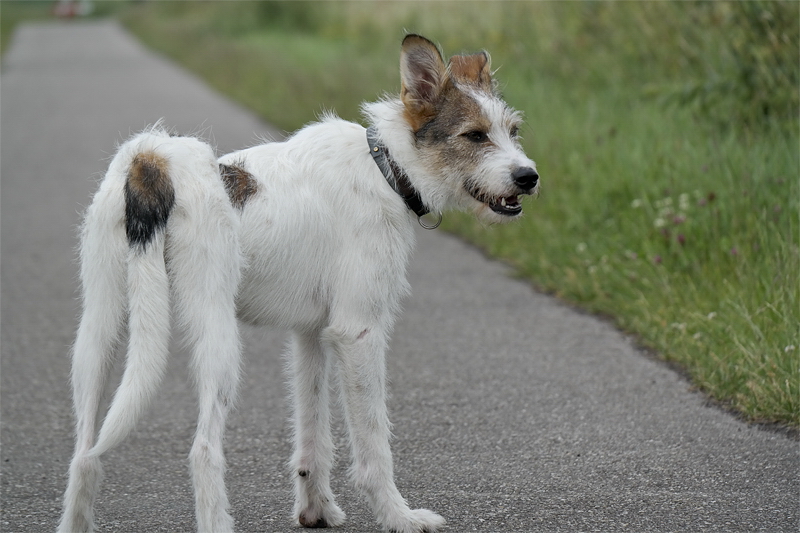 1 -- Felix Holland 6 - 2013 _SAM_1566 als Smart-Objekt-1 Kopie.jpg